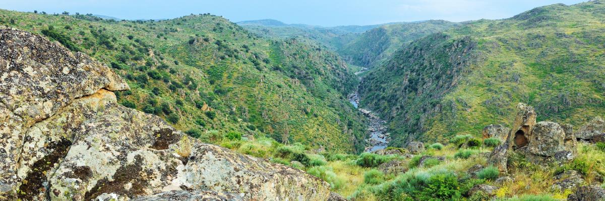 Rewilding in Portugal