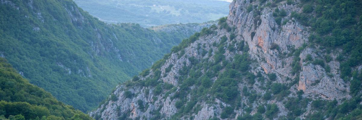 Rewilding in Italia