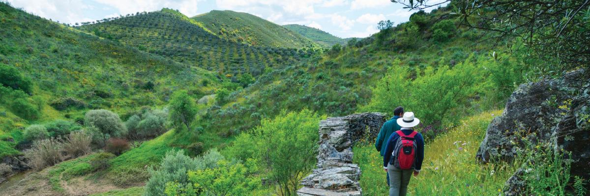 Rewilding in Portugal