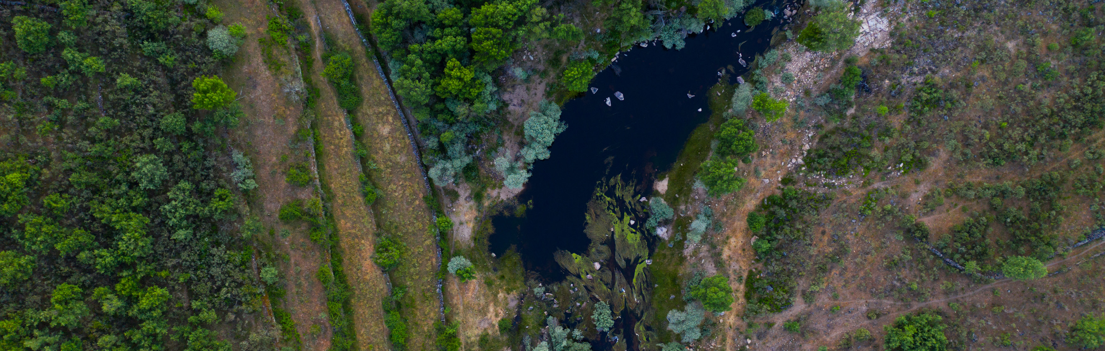 Rewilding em Portugal