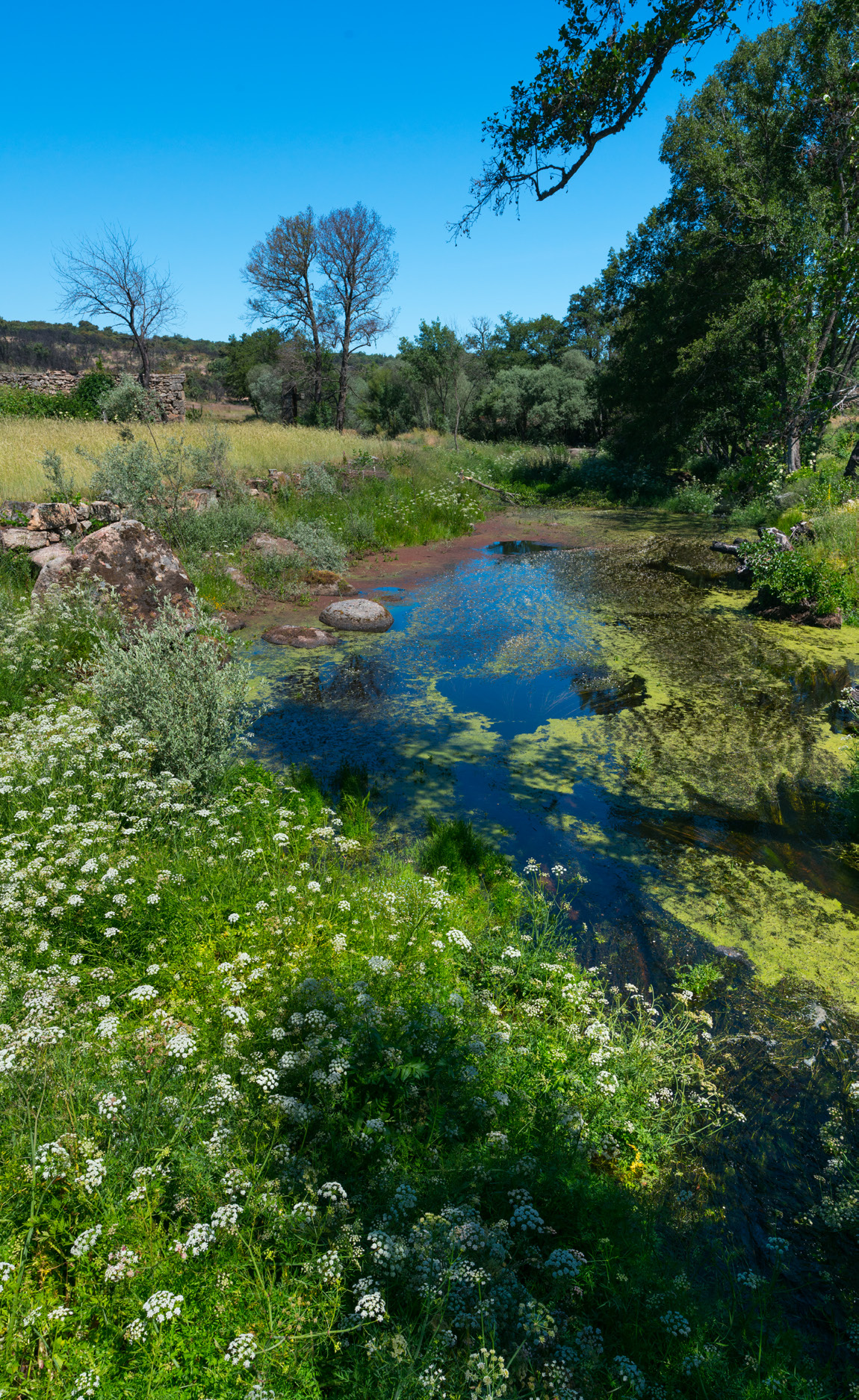 Ribeira das Cabras Valley, Greater Côa Valley. 