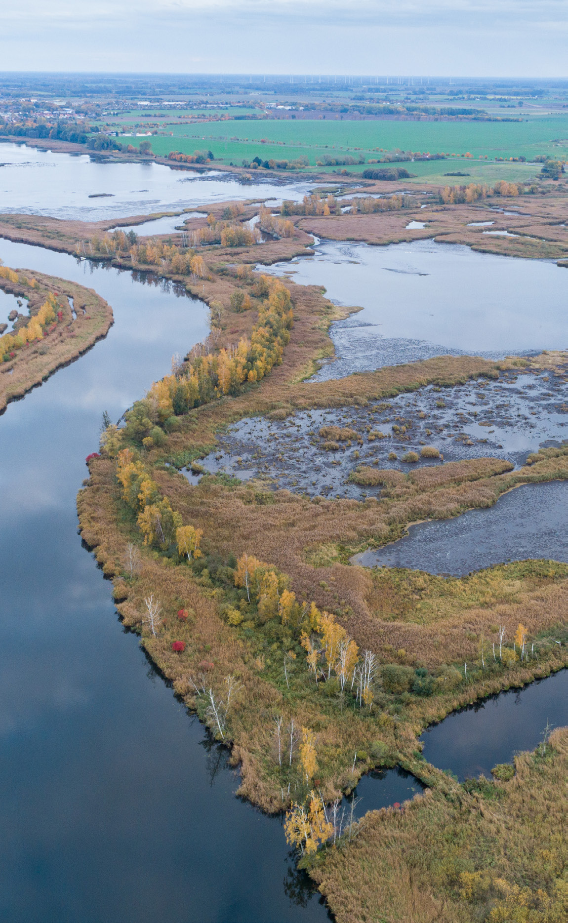Rewetted peat bogs, Penne river, Rewilding Oder Delta