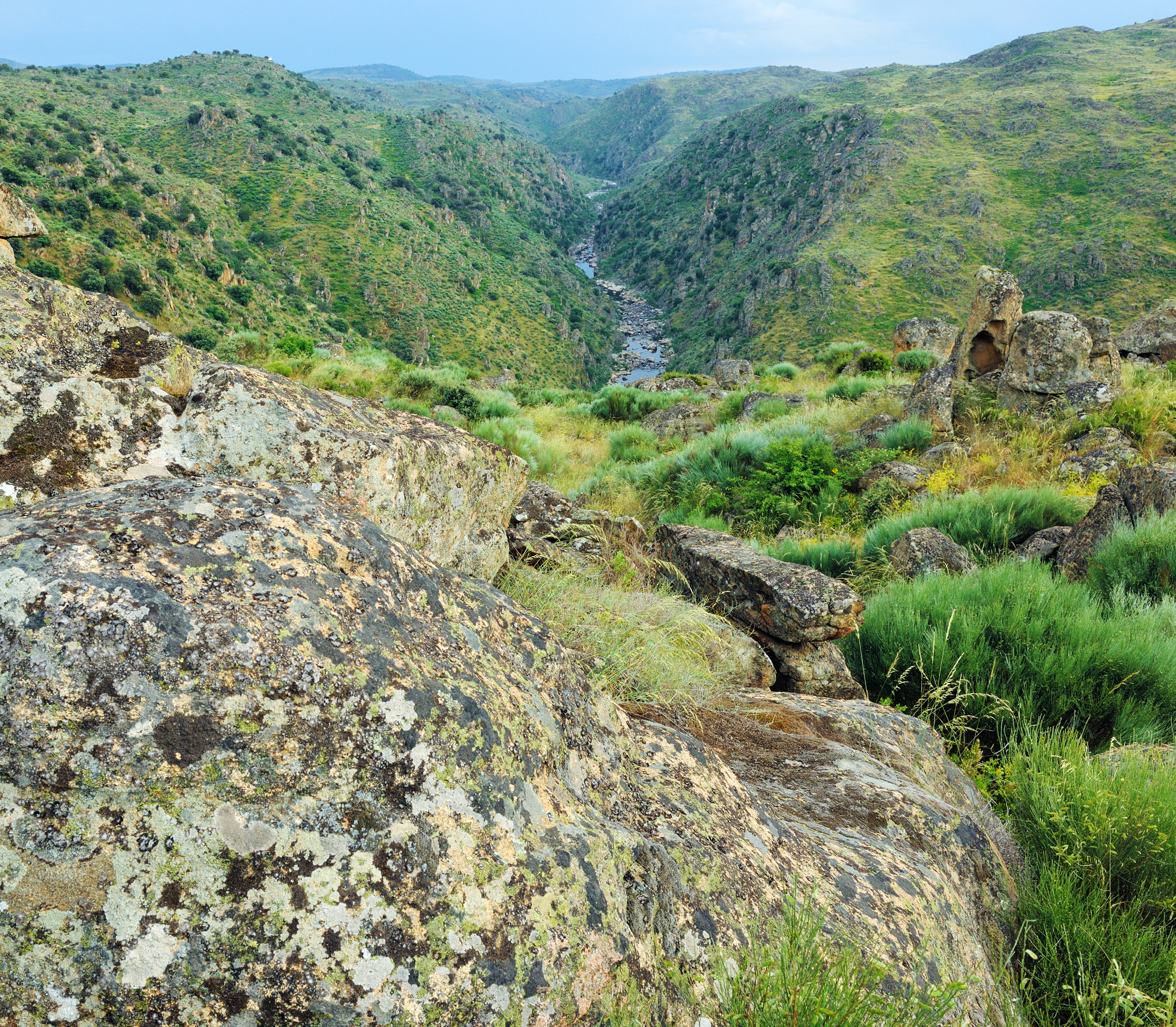 Faia Brava private protected area, Greater Côa valley.