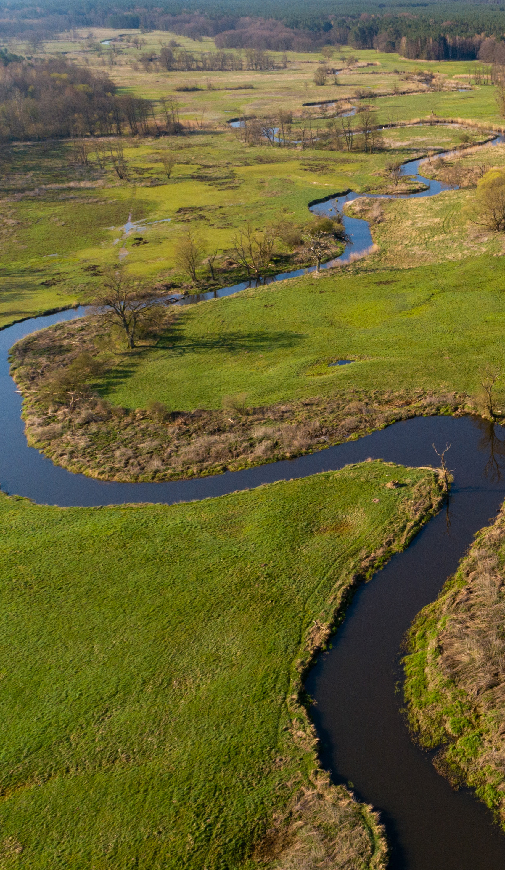 Widok z lotu ptaka na meandry rzeki Iny, okolice Krzewna, Pomorze Zachodnie.