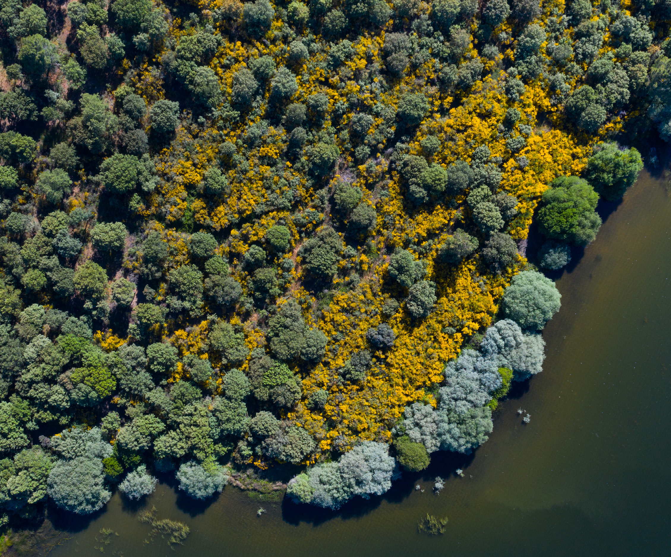 St. Maria de Aguiar reservoir, Ribeira de Aguiar, Greater Coa Valley. 