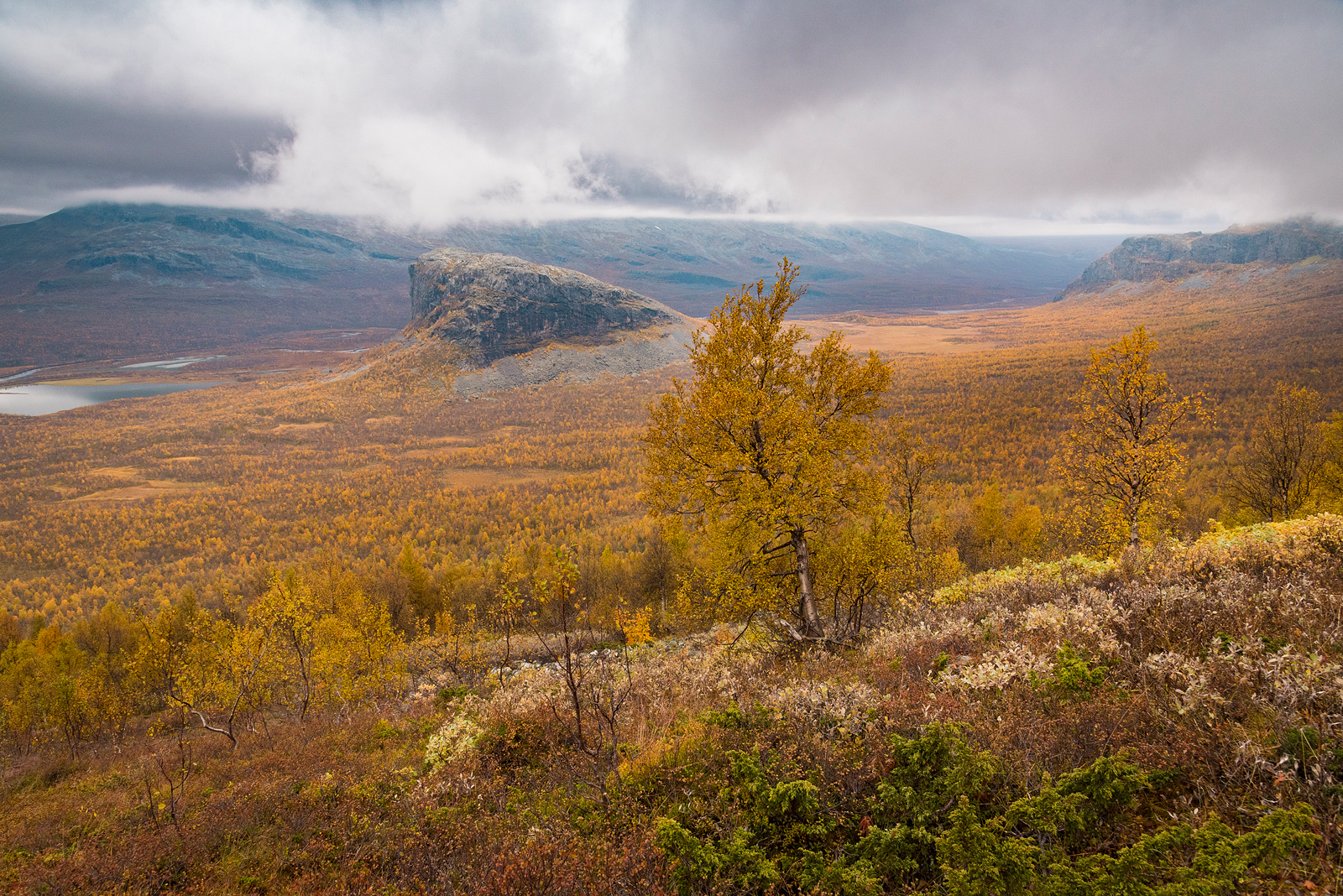 A sweeping aerial photograph of a vast, pristine river valley undergoing natural rewilding.