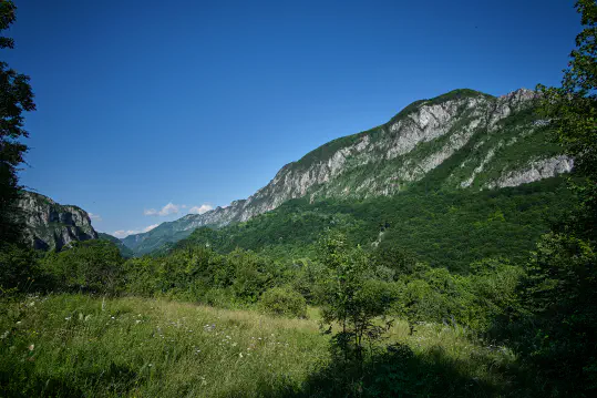 Developing Land