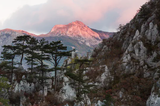 Obtaining and Protecting Wild Land