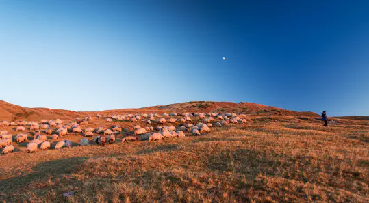 Liability to Third Parties, including Neighbouring Landowners