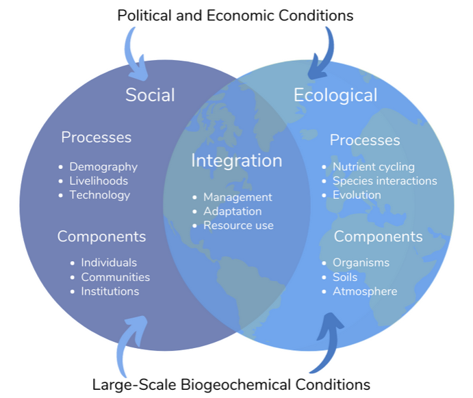 A Venn diagram showing the overlap between social and ecological factors involved in the socio-ecological system. Adapted from Virapongse et al (2016).