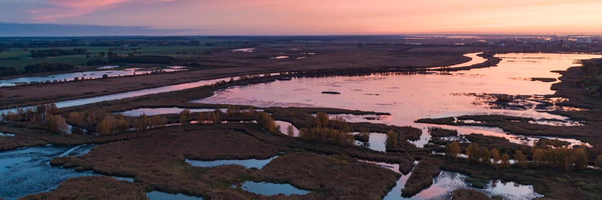 Rewilding in Poland