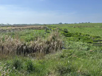 On the ground at High Fen: a glimpse into the future of rewilding and Biodiversity Net Gain