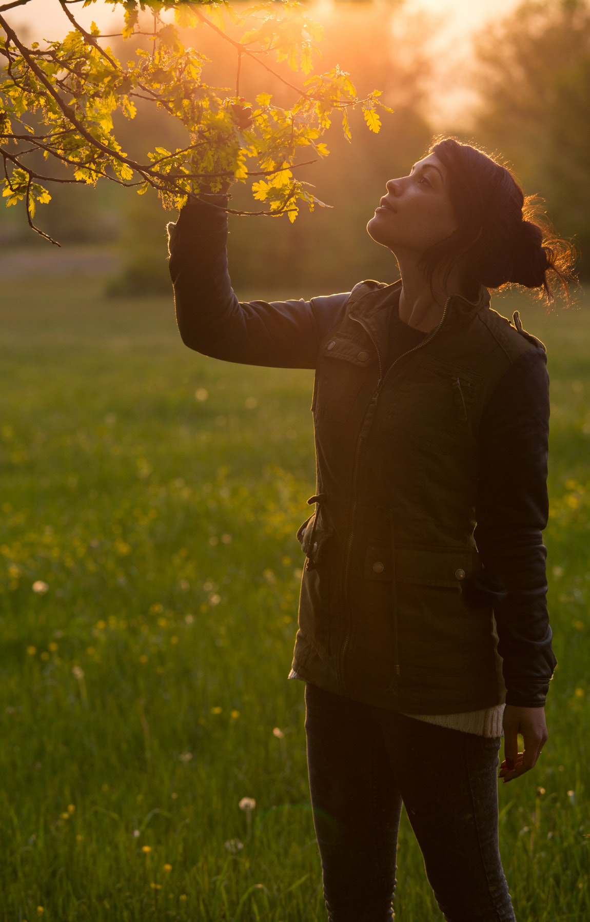 Foglie di quercia, Abruzzo
