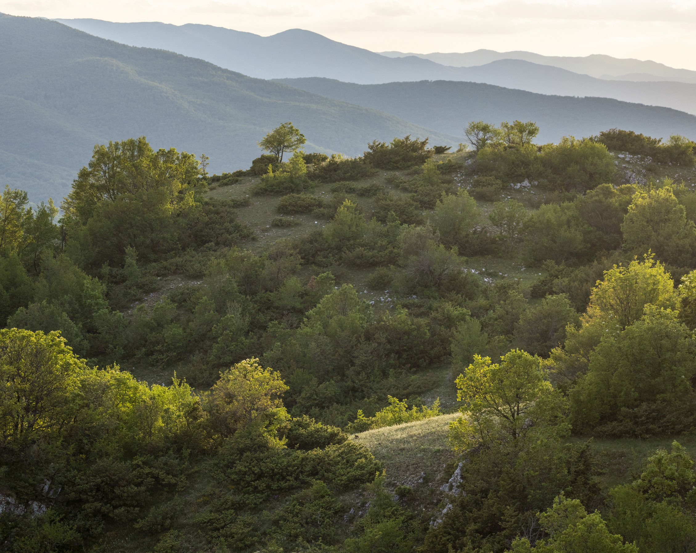 Vegetazione e paesaggi, Appennino Centrale.