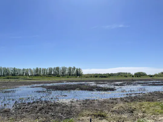 Rewilding Freshwater Habitats