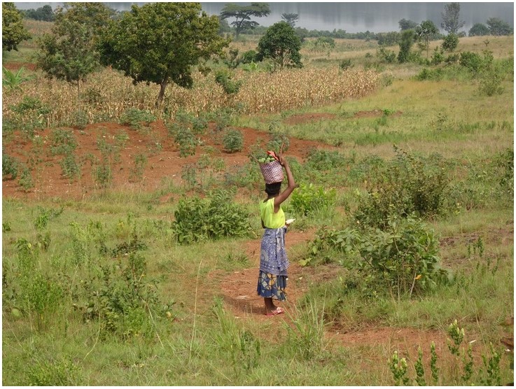 A woman standing on some community farmland in Rwanda