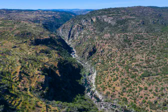 Rewilding Portugal and The Lifescape Project publish landmark legal report charting a path for private land conservation in Portugal