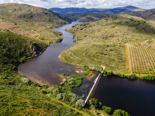 Dam Removal