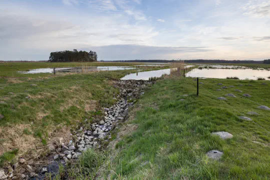 Dam Removal