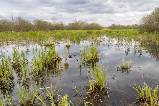 Obtaining and Protecting Wild Land