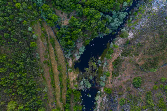Obtaining Land and Legal Mechanisms to Protect Wild Land