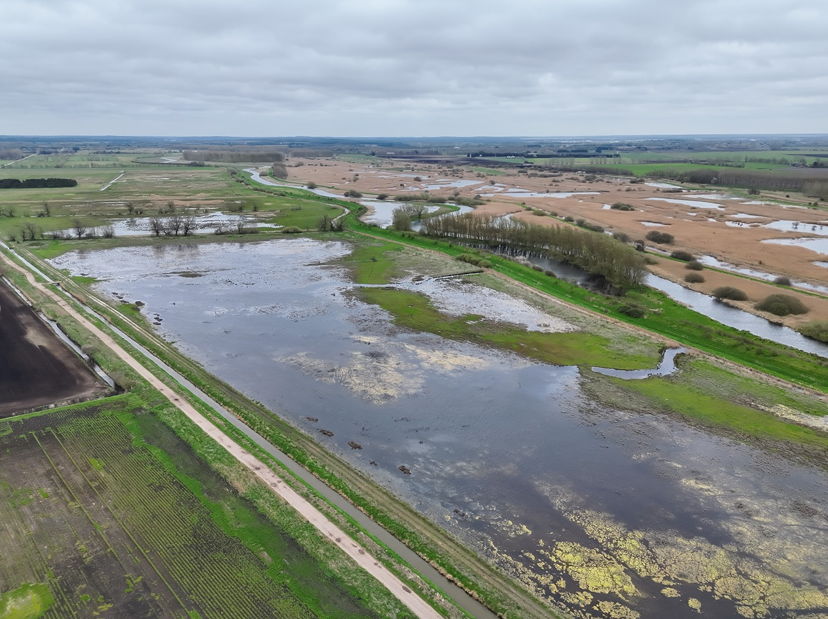 Aerial view of rewetted land at Lakenheath Fen