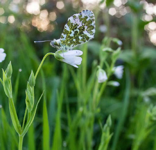 JOIN THE CONVERSATION image